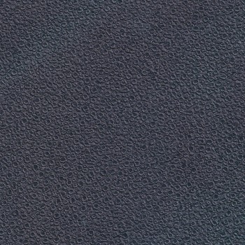 1449648828979018.jpg