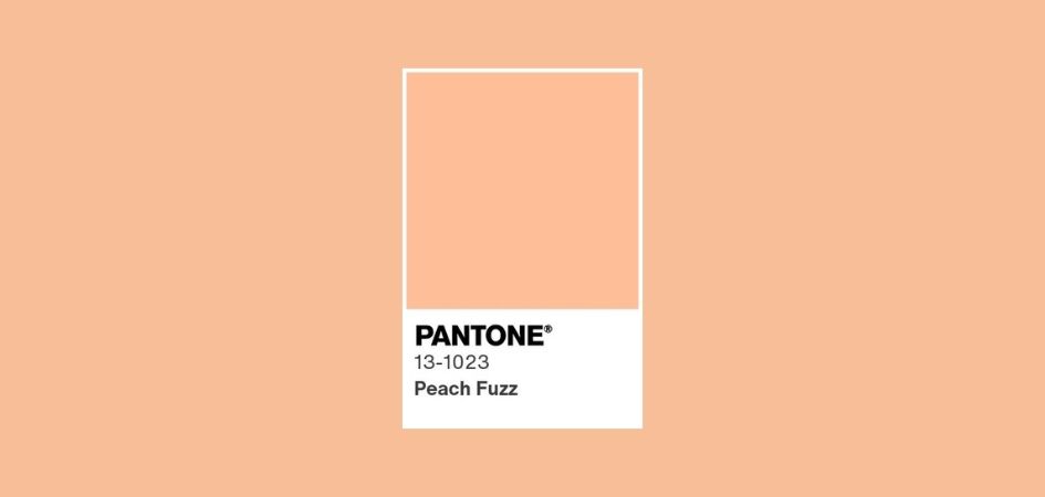 Peach Fuzz kolor roku 2024