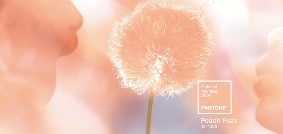 Kolor roku 2024 Pantone